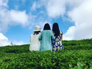 DANAGO Travel