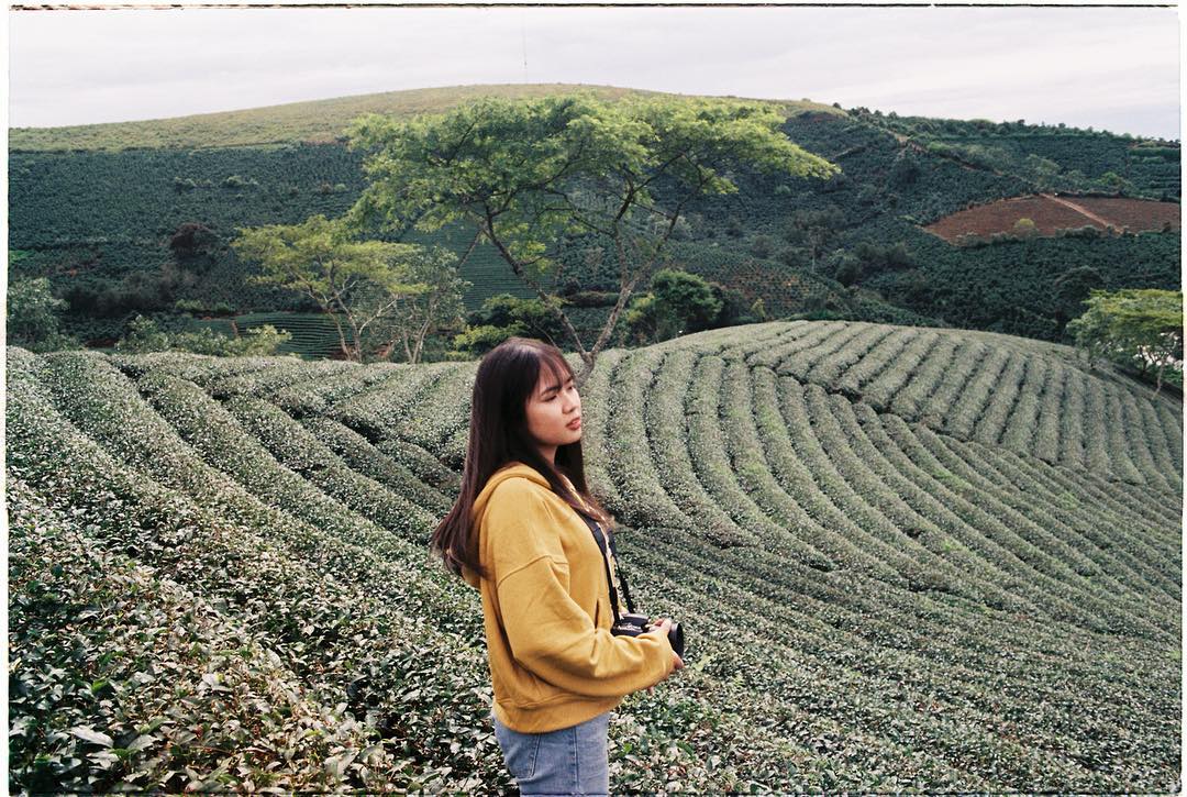 DANAGO Travel
