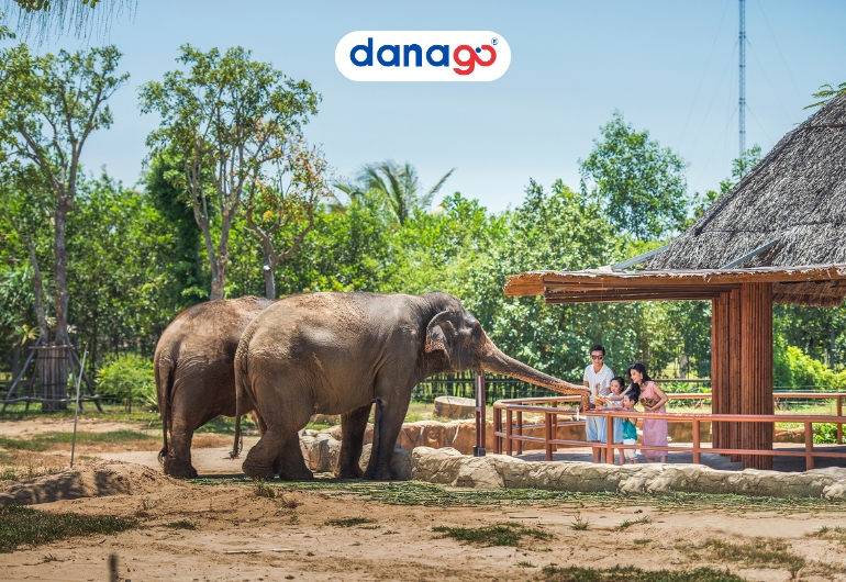 DANAGO Travel